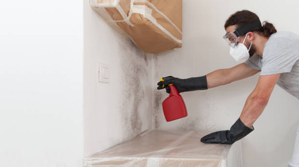 Professional Mold Removal technician working in Malverne, NY